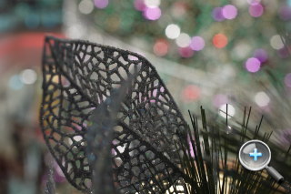 F0.95 大光圈！福倫達 Nokton 25mm F0.95 試玩