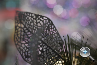 F0.95 大光圈！福倫達 Nokton 25mm F0.95 試玩