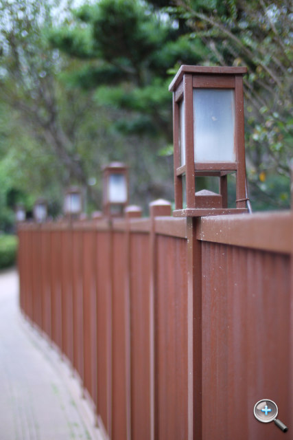 F0.95 大光圈！福倫達 Nokton 25mm F0.95 試玩