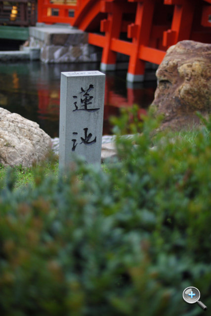 F0.95 大光圈！福倫達 Nokton 25mm F0.95 試玩