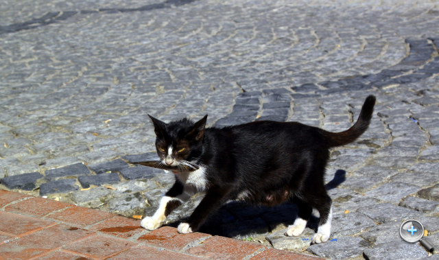 空姐的旅行相簿：漫遊土耳其（上篇）