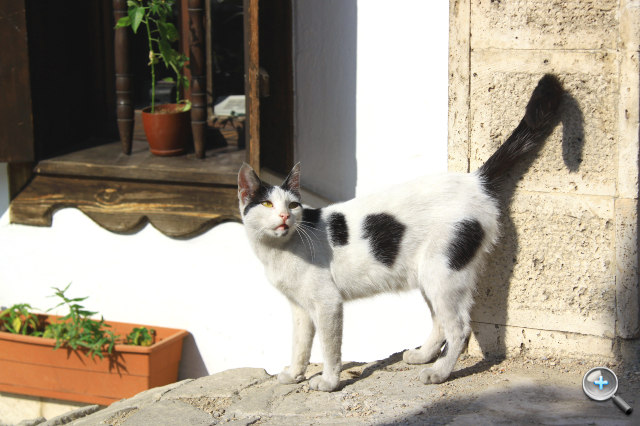空姐的旅行相簿：漫遊土耳其（上篇）