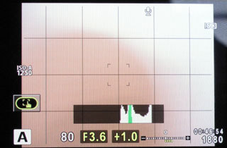 Olympus OM-D E-M5 實機試玩:高速對焦、9 fps 連拍! Olympus OM-D E-M5 實機試玩:高速對焦、9 fps 連拍!