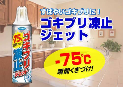 零下 75 度急凍噴霧，瞬間就能讓小強死翹翹