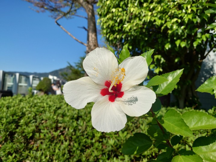 From Xperia 1 III