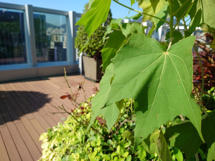 From Xperia 1 III